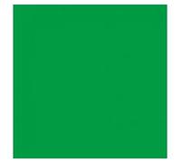Bresser BG-6X6-CK fondo paño 6,0x6,0 meter chromakey verde