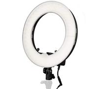 Bresser BR-RL12 - Estudio fotográfico con luz LED Regulable (45 W, 4320 lúmenes, con Funda)