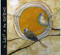 Brett KULL - The Last Of The Curlews