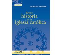 Breve Historia De La Iglesia Catolica: 19 (Panorama)