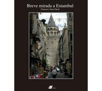 Breve mirada a Estambul