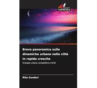 Breve panoramica sulle dinamiche urbane nelle città in rapida crescita: Sviluppo urbano: prospettive e limiti