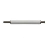 BrewJa 1 Kit de Mantenimiento de Conjunto de Rodillo de Platina P1037974-028 Compatible con impresoras de Etiquetas térmicas Zebra ZT200 Series ZT210 ZT220 ZT230 203 PPP 300 PPP (Color : Only Roller)