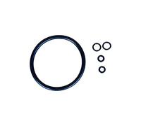 Brewzilla Junta de repuesto Det para barril de cerveza KEG tipo Cornelius