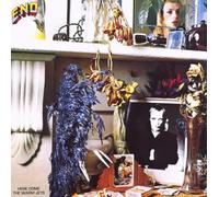 Here Come The Warm Jets