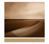 Brian Eno - Small Craft on a Milk Sea [Vinilo]