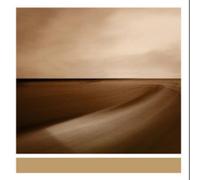 Brian Eno Small Craft On a Milk Sea (Vinyl) 12" Album (Importación USA)