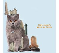 Brian Jonestown Massacre - Fire Doesn’t Grow On Trees [VINYL] [Vinilo]