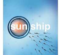 Brian Jonestown Massacre - The Sun Ship [Vinilo]