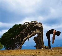 Brian May - Another World (Edición Limitada)(LP+2CD)