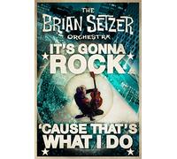Brian Setzer Orchestra - It S Gonna Rock... Cause That S What I Do [Francia] [DVD]