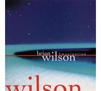 Brian Wilson - Imagination
