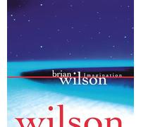 Brian Wilson - Imagination (RSD26 EX) [Vinilo]