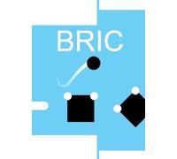 Bric - The Casual Indie Game Steam Key GLOBAL