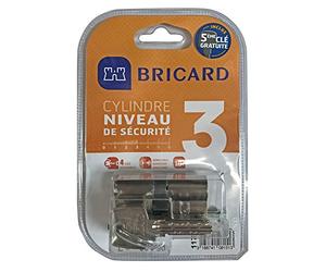 Bricard 11734 Cilindro desmontable 5 Llaves Astral 2, 9 Latón niquelado 10 Pistones, 2 entradas 30+40, Protección contra la perforación y la ganzura. Tarjeta personal, acero niquelado, 70 = 30+40
