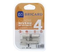 Bricard 15901 - Cerradura de cilindro Trial S 30 x 30 niquelado de doble entrada, nivel de seguridad 4