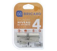 bricard 15981 Cilindro Trial S 40 + 40 Niquelado, doble entrada, nivel de seguridad 4, llaves reversibles, resistencia a la Cassia y a la torsión. Resistance Au agujeros, AU ganzúas y AU bumping