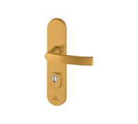 Bricard 9900131 9900131-Juego de tiradores blindados en placa soporte para puerta de entrada (para cilindro europeo), color dorado, Béquille+Béquille