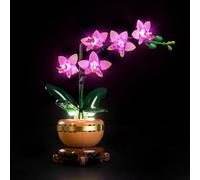 BrickBling Luz compatible con Lego Mini Orchid Flower 10343 | Ilumina tu colección botánica, versión estándar (sin modelo)