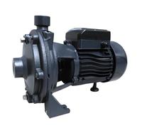 Bricoferr Bomba de Agua c/Doble Turbina - 1.5HP, 45m de Elevación, 117L/min