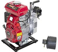 Bricoferr Motobomba de Agua 2.5HP 6500 RPM - 10 m³/h, 20m de Elevación