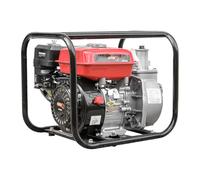 Bricoferr Motobomba de Agua 5.5HP 3600 RPM - 30 m³/h, 25 m de Elevación