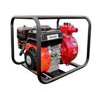 Bricoferr Motobomba de Agua 7 HP 3600 RPM - 30 m³/h, 65 m de Elevación