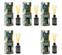 BricoLoco.com. Ambientador Mikado REAL ATTRACTIVE de 100ml. Más cómodo y seguro que las velas. Ambientador hogar, casa, habitación. Aroma naranja (5)