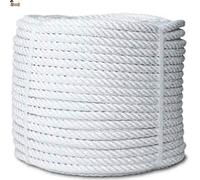 BricoLoco.com Cuerda Nylon torcida. 4 Cabos.SOGA Fibra sintética de Nylon. Cabo Amarre, Agricultura, ganadería, Pesca, construcción, decoración, Crossfit. (100, Diámetro 20 mm.)