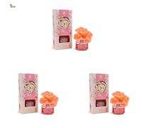 BricoLoco. Mikado dulce decorativo flor 65ml flor de Arabia. Más cómodo y seguro que velas. Ambientador hogar, casa, habitación. Aroma fresco. Decoración. Aromaterapia. (3 uds)