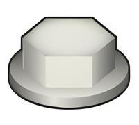 Bricoloco Tapas de protección para tornillos y tuercas hexagonales de polietileno alta densidad- Tapón embellecedor de plastico para tapar tornillos. (Gris RAL 9002 - M10, 50)