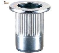 BricoLoco Tuerca remachable M4 a M10. Remache roscado Cabeza ancha cincada. Ranurada. Varias medidas y envases. (25, Métrica 10 Ancha)