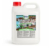 BRICOSALVAJE Fijador de Pintura, Imprimación Interior/Exterior, Acrílico al Agua, Transparente Brillante, 1L/5L/25L, para Yeso, Cemento, Hormigón (5 Litros)