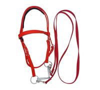 Brida Cabestro Ecuestre - Correas Ajustables De Metal De Nailon De 130 Cm Resistentes Al Desgarro, Casco Resistente Para Caballos, Accesorio De Equitación De Larga Duración | Ajuste Cómodo Y Seguro Pa