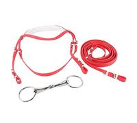 Brida de Caballo Ajustable de PVC, arnés de rienda, Cabezales, Filete Hueco de Acero Inoxidable extraíble