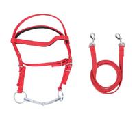 Brida de Caballo Rein Nylon Elegante Brida de Caballo Ajustable Headstall rienda Ecuestre (Pequeña)