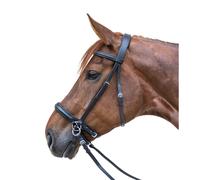 Brida de equitación con muserola combinada sin bocado Star XFull