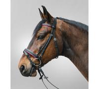 Brida de equitación con muserola combinada Star Diamond Cob