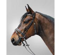 Brida de equitación con muserola combinada Star Diamond Mini Shetland
