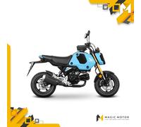 Brida de fijación para bolsas sobredepósito SHAD Click System H011CS