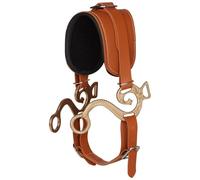 Brida metálica para caballo, cabestro de piel sintética con acolchado textil, hebillas ajustables, banda de 15 cm, accesorio de entrenamiento ecuestre