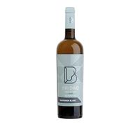 Bridão Sauvignon Blanc, Vino Blanco Superior DO Tejo, 750ml, Cosecha 2022, 13% Vol.