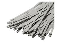 Bridas De Acero Inoxidable Brida for cables de acero inoxidable, herramienta tensora manual con cremallera automática 12mm, alicates sujeción y corte, 100 Uds(7.9x500mm)