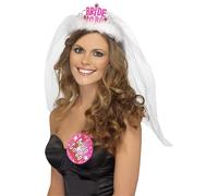 Bride to Be Tiara with Veil