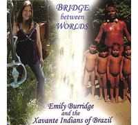 Bridge Between Worlds