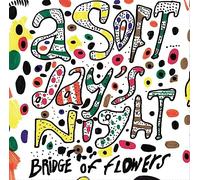 Bridge Of Flowers - Soft Day's Night [Vinilo]