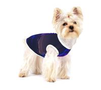 bridge under neon lights - Camiseta para mascotas con estampado de luces de neón, ropa de verano para perros, ropa suave para cachorros y gatos pequeños, uso diario al aire libre
