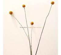 Byron & Phelps - Bridges of Pearl and Dust