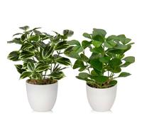 Briful 2 plantas artificiales pequeñas para interiores en maceta, plantas artificiales de escritorio para casa de campo, jardín, decoración de estantes