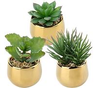 Briful 3 plantas artificiales suculentas artificiales para decoración de primavera, plantas de interior, flores artificiales en maceta de cerámica, decoración para salón, jardín, balcón, dormitorio